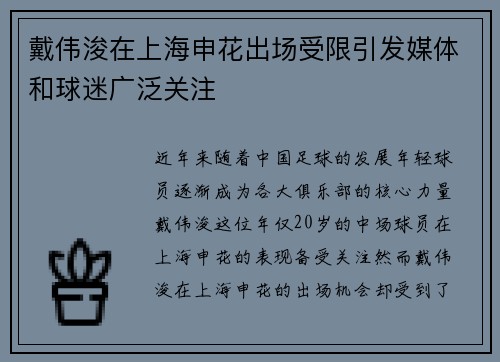 戴伟浚在上海申花出场受限引发媒体和球迷广泛关注